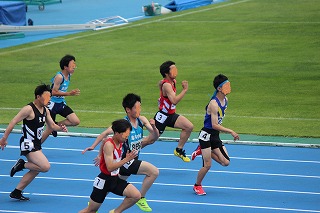 441-2.jpg