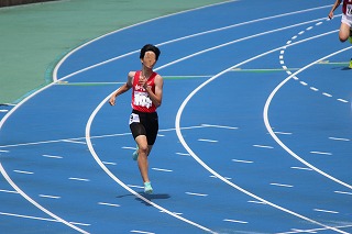 441-3.jpg