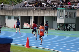 442-2.jpg