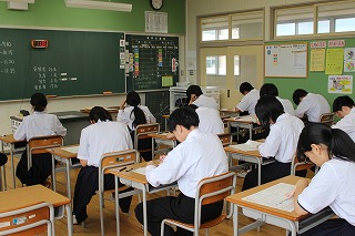 479-3.jpg