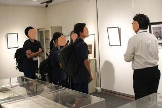 497-2.jpg
